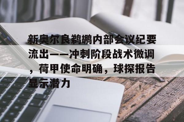 开云新奥尔良鹈鹕内部会议纪要流出——冲刺阶段战术微调，荷甲使命明确，球探报告显示潜力的简单介绍